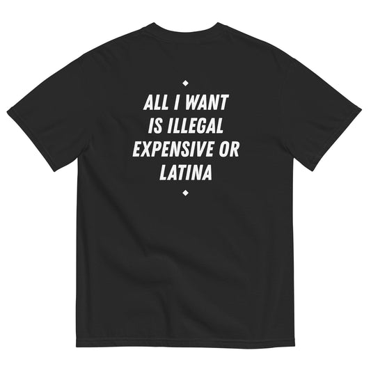 ALL I WANT IS ILLEGAL, EXPENSIVE OR LATINA (BLACK)